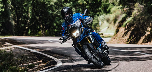 G310GS ワンダーリッヒ カスタムパーツ