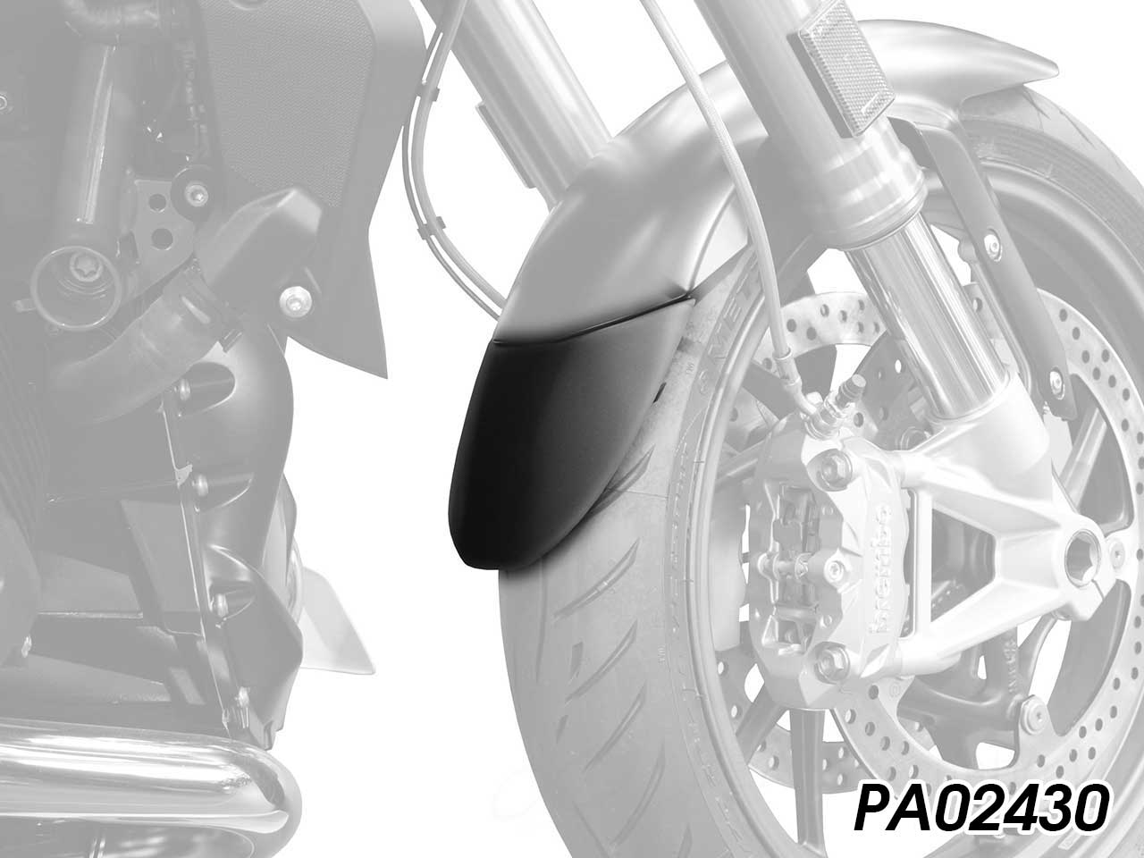 BMW R1250R リアインナーフェンダー R1250R ワンダーリッヒ カスタム フェンダー