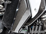カーボンエアアウトレットダクト R1300GS カスタムパーツ