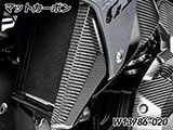 カーボンエアアウトレットダクト R1300GS カスタムパーツ