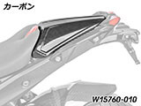 カーボン タンデムシート フェアリング R1300RS カスタム パーツ