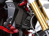 ラジエーターガード R1200R LC(水冷) カスタム パーツ