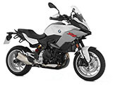 ウォータークーラーガード ｢Extreme｣ F900XR カスタム パーツ
