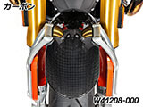 カーボンフロントフェンダー R12S カスタム パーツ
