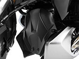 エンジンハウジング プロテクション 「EXTREME」 R1200R LC(水冷) カスタム パーツ