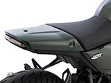 リアコンバージョンカバー R12nineT カスタム パーツ